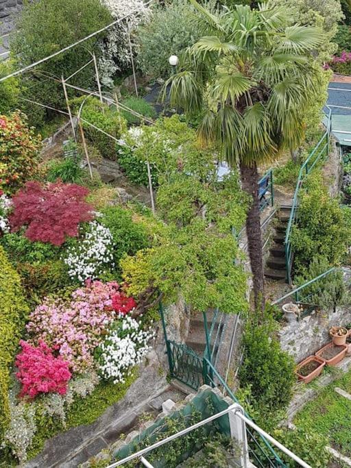 Apartament Lucio&Pina House Dervio Zewnętrze zdjęcie